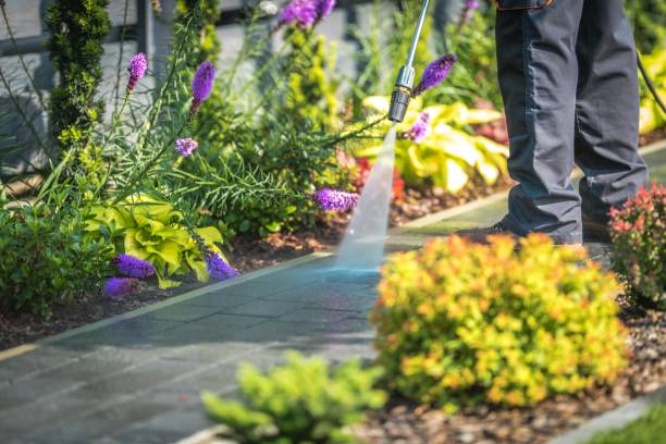 Best Sidewalk and Walkway Cleaning  in Armonk, NY